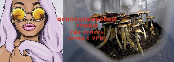 твердый Пересвет