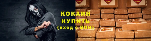 твердый Пересвет