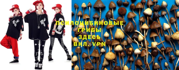 твердый Пересвет
